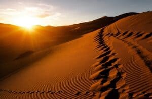 LET MY SPIRIT GO! - Subsidized Level