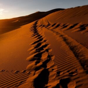 Pay it Forward  <br> LET MY SPIRIT GO! (Course)