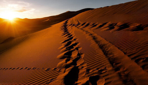 Pay it Forward <br> LASST MEINEN GEIST FREI! (Kurs)