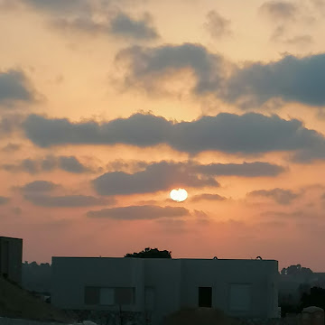 Profile photo of shlomitmoran